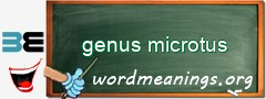 WordMeaning blackboard for genus microtus